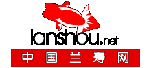 中國(guó)蘭壽網(wǎng) 中國(guó)蘭壽網(wǎng)