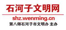 ½ʯW(wng)