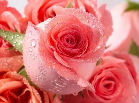 ɫõ廨Z(y)ʲô,ɫõ廨Z(y),ɫõ,Z(y)