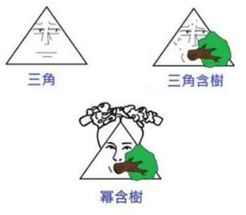 含樹體是什么梗,含樹體是什么意思