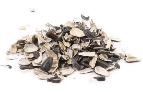 瓜子皮是干垃圾還是濕垃圾